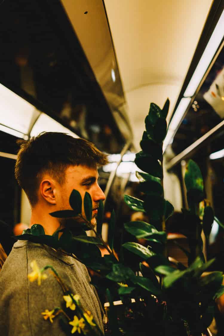 sony rx1r iii autofokus — alltagsfotografie beispiel